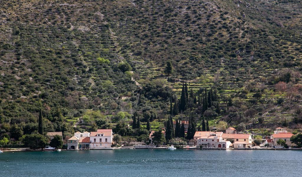 Apartments Zaton Bay Dubrovnik Szoba fotó